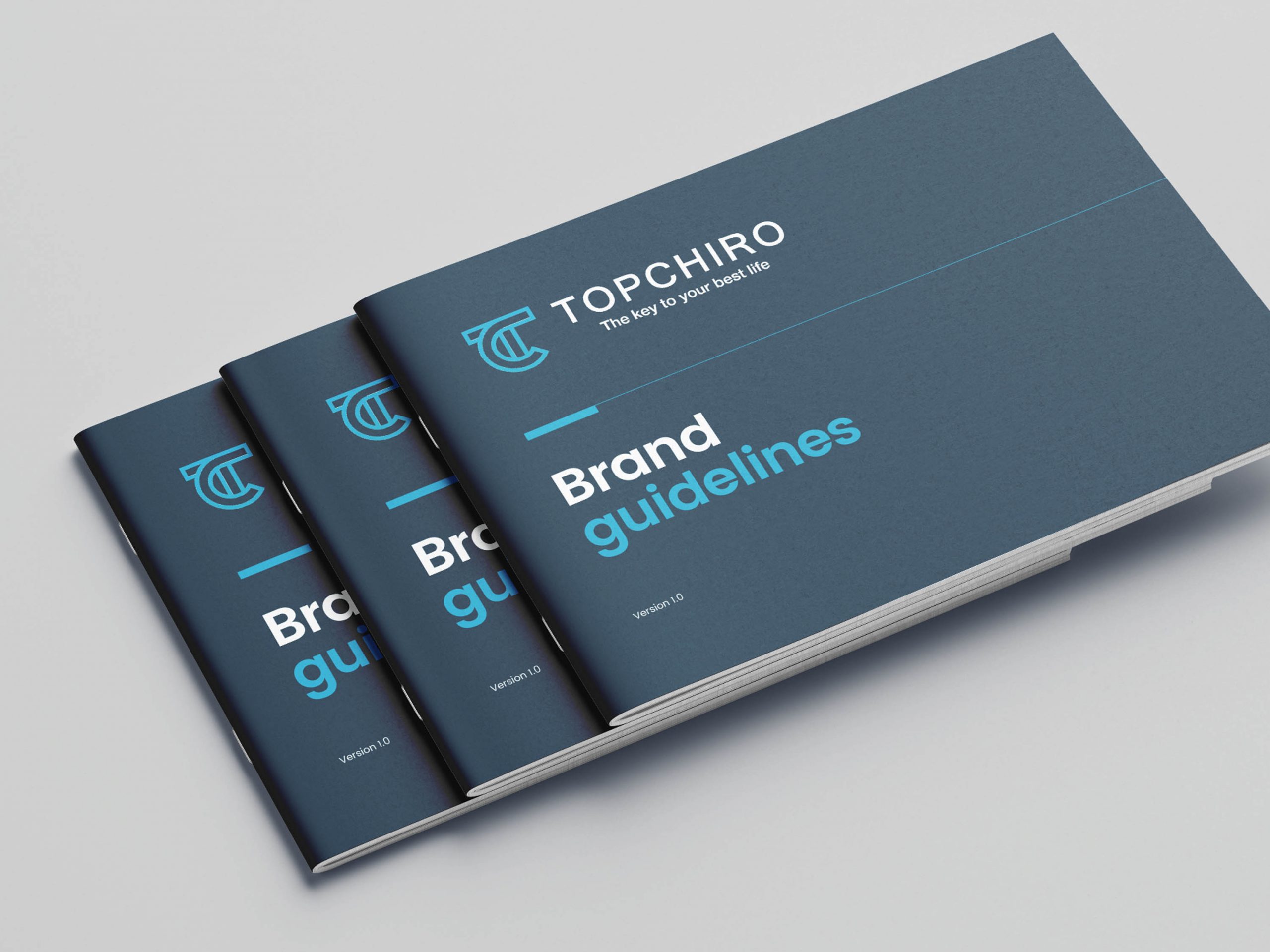 chiropractic-logo-design-branding-marketing-website-design